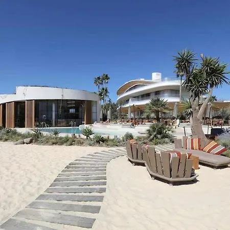 Theedgebythesea Palm Tree Apartment