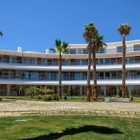 Theedgebythesea Palm Tree Apartment